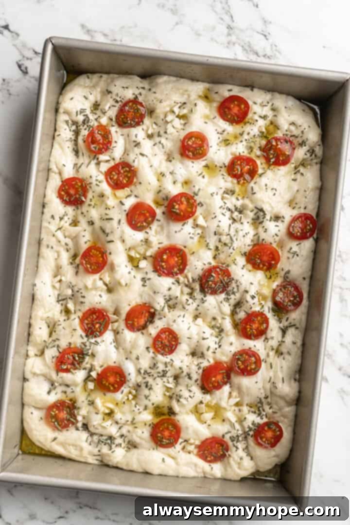Unbaked gluten-free focaccia dough topped with cherry tomatoes, garlic, and rosemary, sitting in a greased pan.