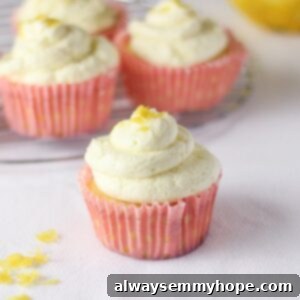 Fluffy Frosting for Cupcakes