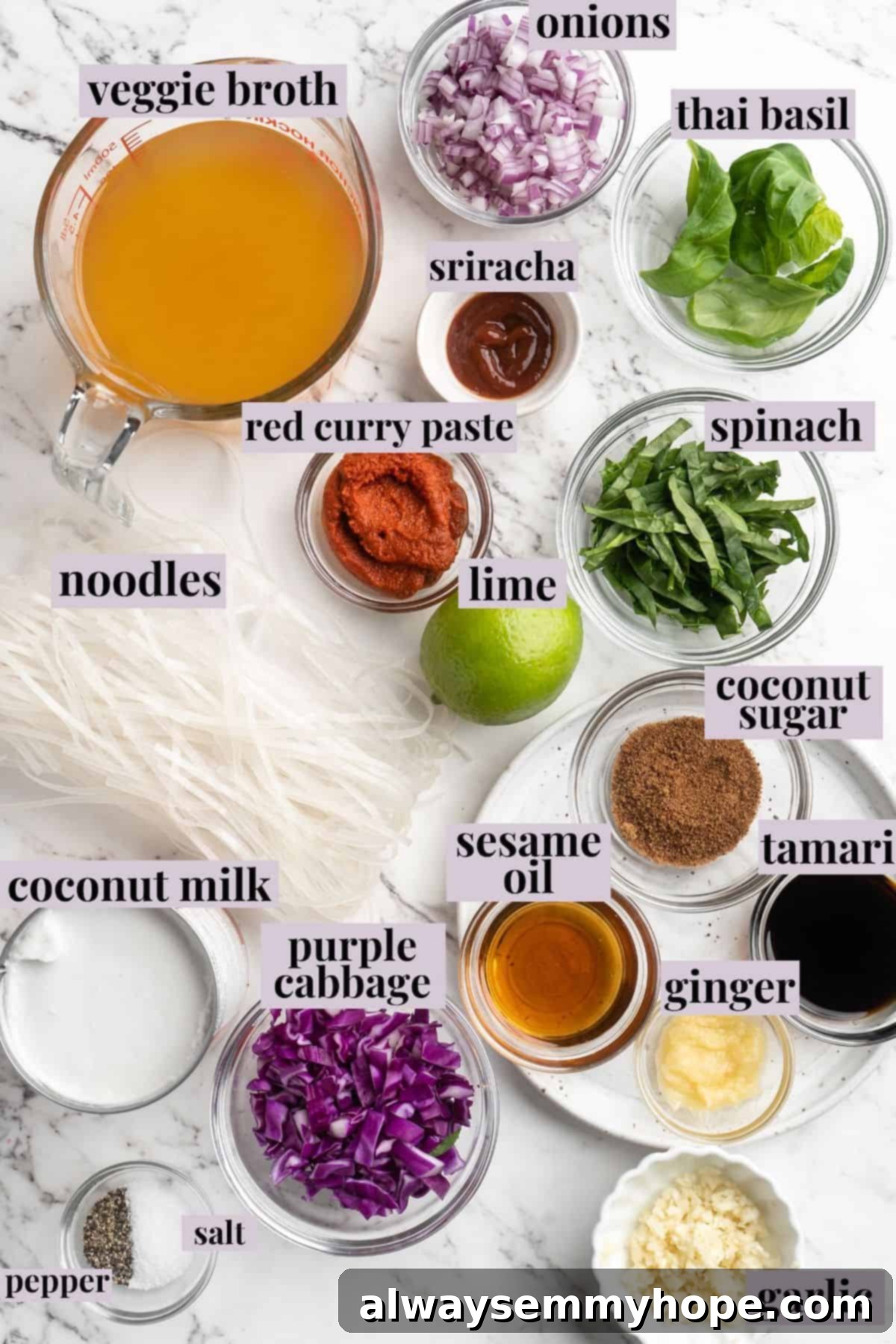 This Thai Coconut Curry Soup is creamy, flavourful, and fragrant, with plenty of veggies and noodles to keep you satisfied. Quick and easy! Overhead view of Thai coconut curry soup ingredients laid out with labels, including red curry paste, coconut milk, ginger, garlic, and various vegetables.