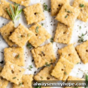 Cheezy Vegan Squares 2 Vegan cheez-its with sea salt and rosemary