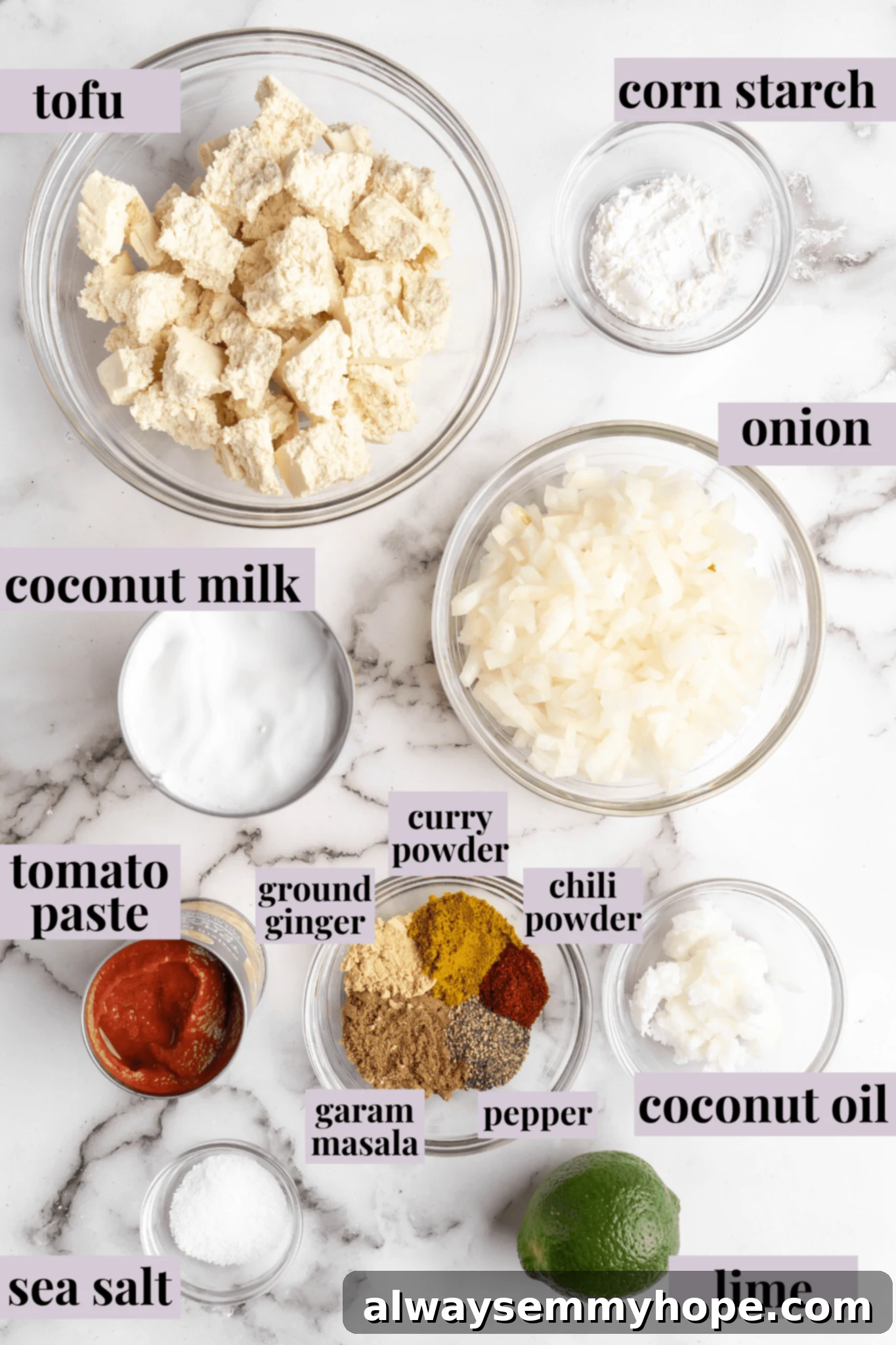 Overhead view of all fresh ingredients for Vegan Butter Chicken, neatly arranged and labeled, including spices, coconut milk, tofu, and onion