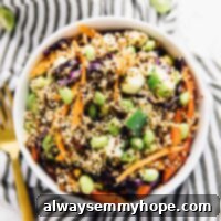 Speedy Sesame Ginger Quinoa Salad 9 Bowl of 15-Minute Asian Quinoa Salad
