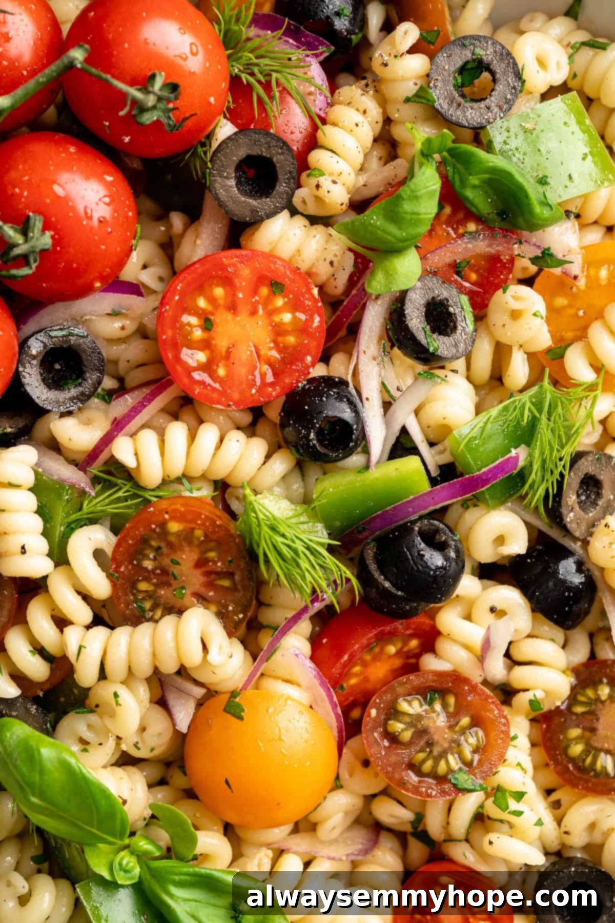 Delicious details of the vegan pasta salad. Close-up overhead view of a vibrant vegan pasta salad featuring rotini, black olives, cherry tomatoes, fresh parsley, and red onion, dressed in a light vinaigrette.