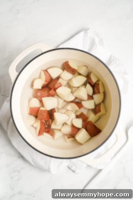 Boiled tender potatoes in a pot, ready to be drained.
