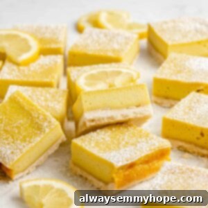 Sliced lemon bars with halved lemon slices.