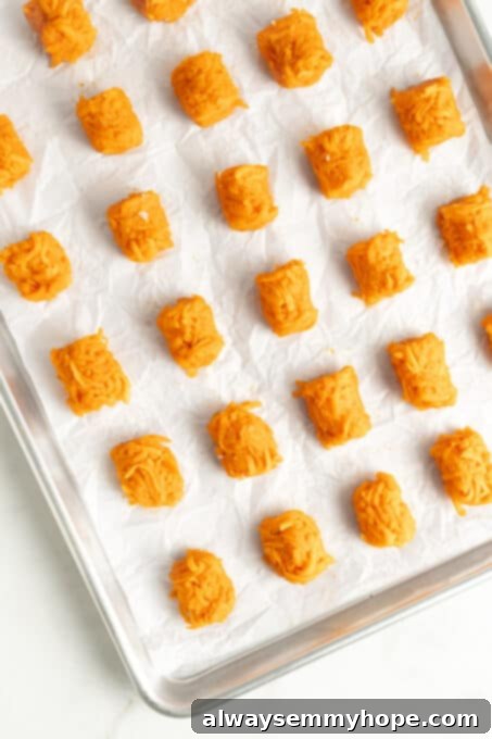 Overhead view of uncooked sweet potato tater tots neatly arranged on a parchment-lined baking sheet