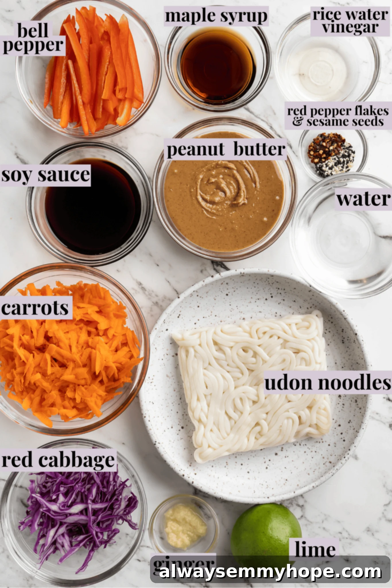 Overhead view of ingredients for Thai peanut noodles with labels