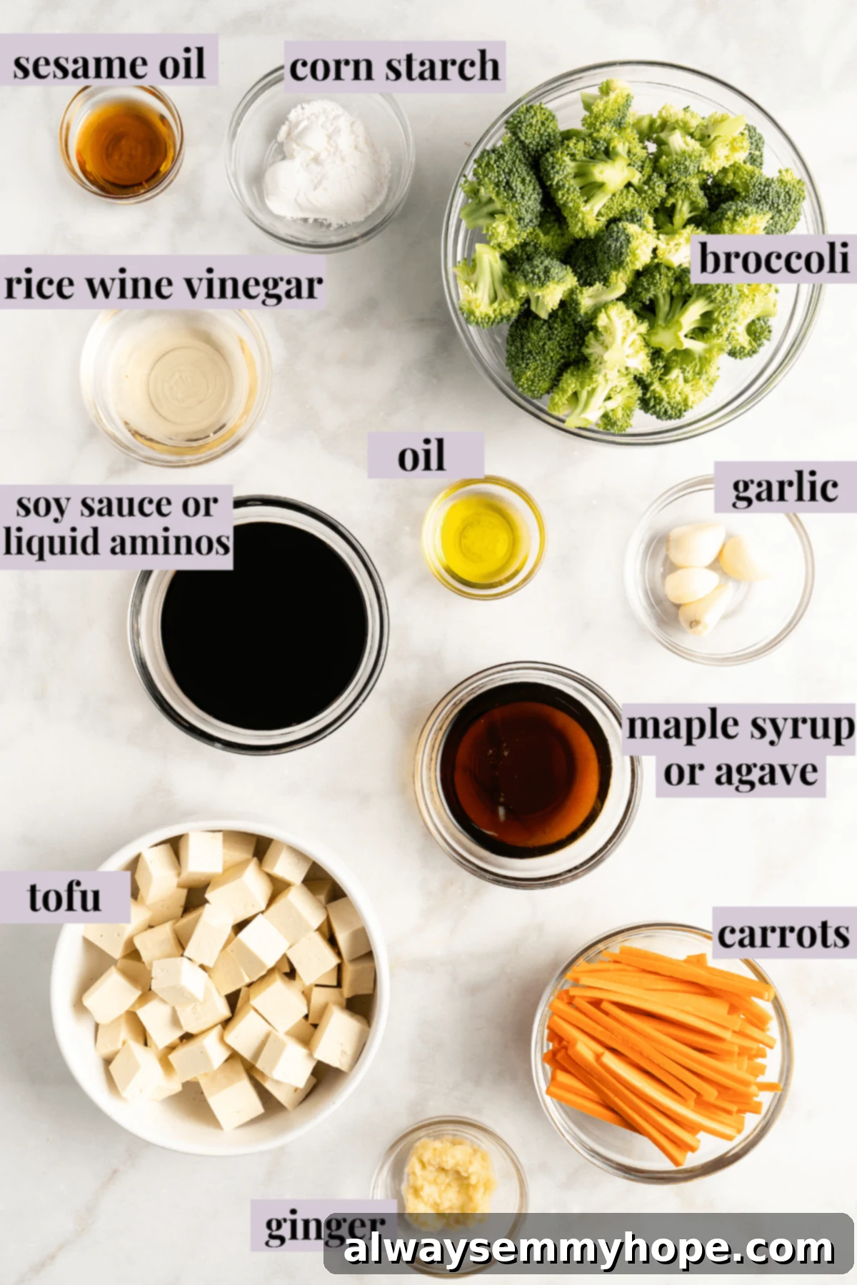 Glazed Ginger Tofu Stir-Fry 3 Overhead view of ingredients for tofu and veggie stir fry with labels