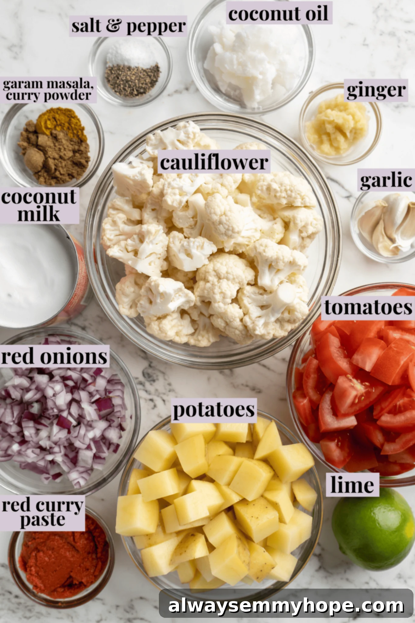A collection of fresh, vibrant ingredients for Aloo Gobi, including cauliflower florets, cubed potatoes, red onion, tomatoes, ginger, garlic, coconut oil, and an array of Indian spices.