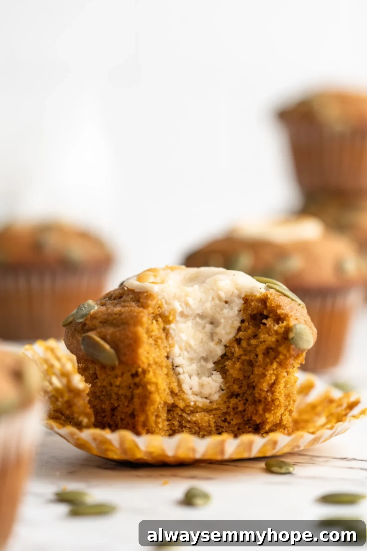 These vegan pumpkin cream cheese muffins pair the cozy flavour of pumpkin with a sweet-and-tangy cream cheese filling with delicious results! Close-up of a pumpkin cream cheese muffin with a bite taken out, showing the intricate swirl of the filling and the soft texture.