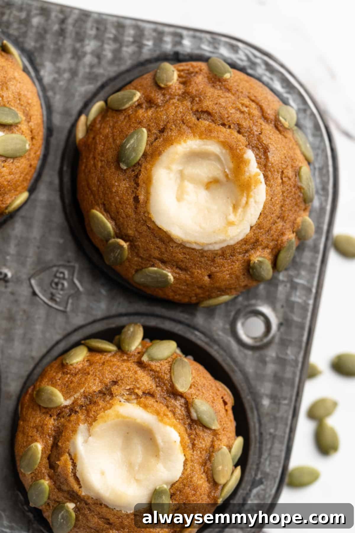 These vegan pumpkin cream cheese muffins pair the cozy flavour of pumpkin with a sweet-and-tangy cream cheese filling with delicious results! Overhead shot of freshly baked vegan pumpkin cream cheese muffins arranged on a rustic surface, highlighting their beautiful swirl pattern and pepita topping.