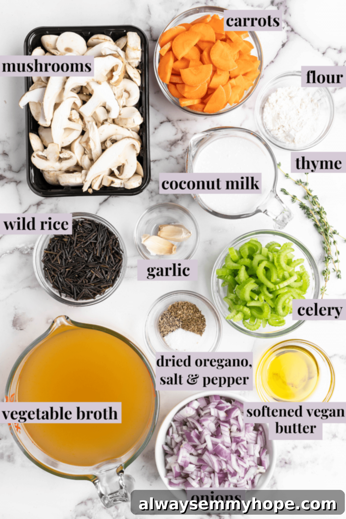 Velvety Vegan Mushroom Wild Rice Soup 4 Various raw ingredients for vegan mushroom wild rice soup laid out on a wooden surface with labels, including carrots, celery, mushrooms, garlic, and wild rice.