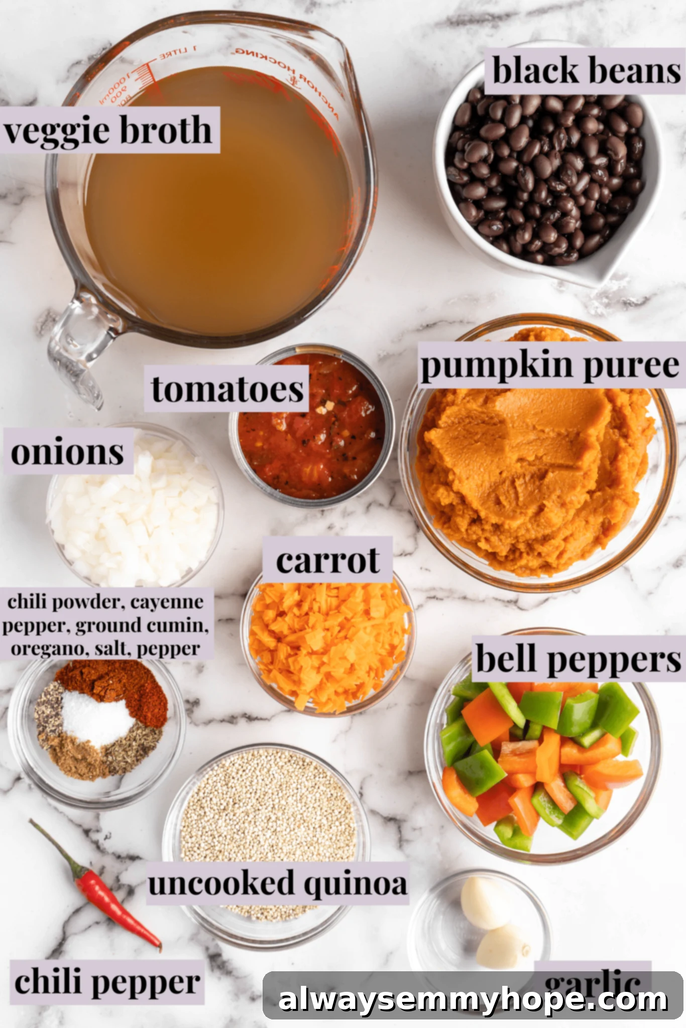A flat lay of all the fresh, colorful ingredients laid out on a kitchen counter, ready for making pumpkin chili, including various vegetables, beans, and spices.
