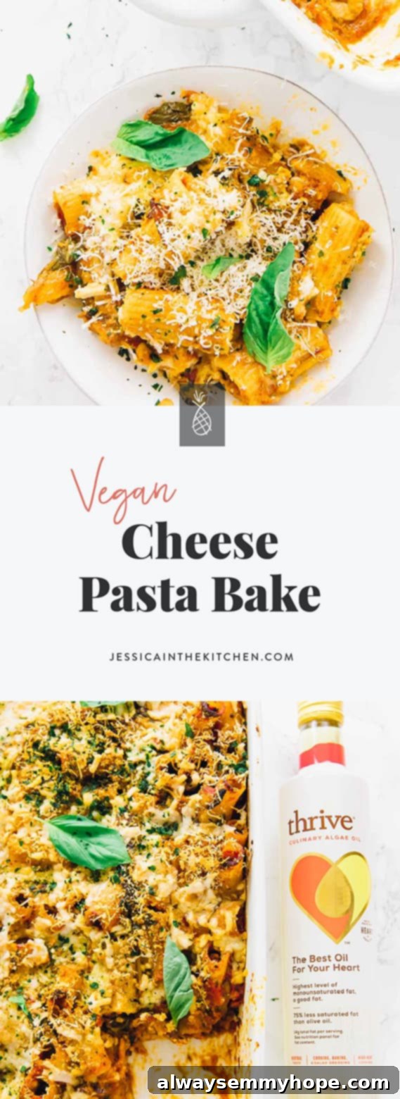 Creamy Vegan Cheese Pasta Bake 6 NEW Post! This Vegan Cheese Pasta Bake is the ultimate crowd pleaser and perfect for a weeknight meal or your holiday table! It’s made with @ThriveAlgae Oil which has a high smoke point (perfect for this bake), neutral taste and is 90% heart healthy monounsaturated fat! via https://jessicainthekitchen.com