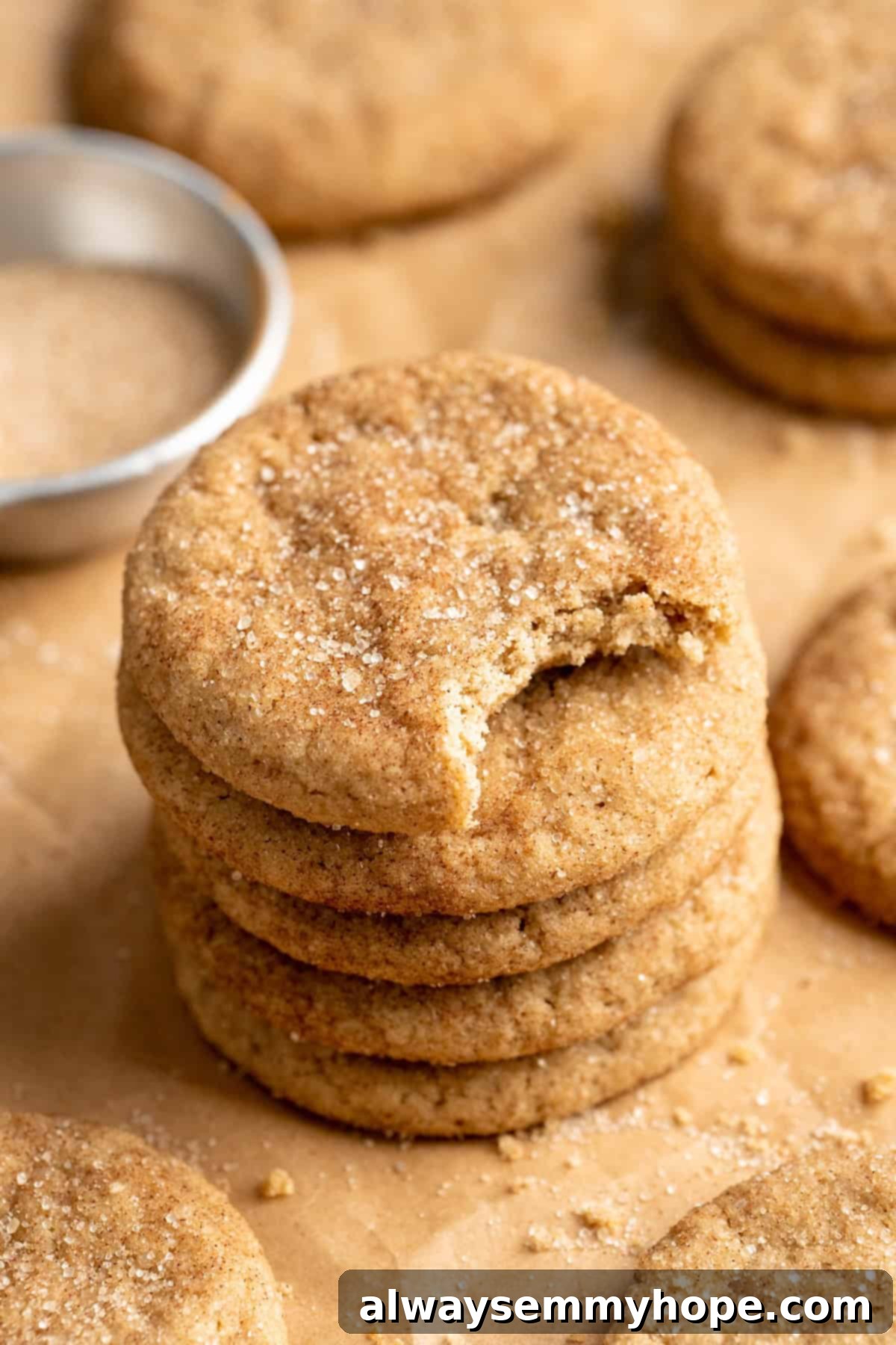 Stack of perfectly baked vegan snickerdoodle cookies, with a bite taken out of the top one to show its soft interior.