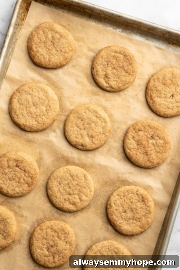 Overhead view of freshly baked vegan snickerdoodle cookies cooling on a parchment-lined baking sheet.