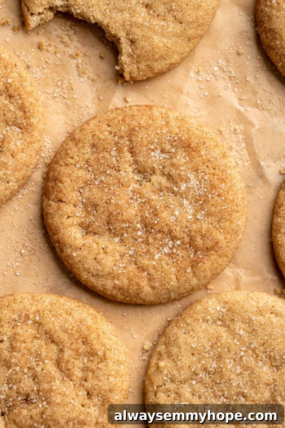 Overhead view of a batch of freshly baked vegan snickerdoodles arranged on parchment paper, perfectly round and coated.