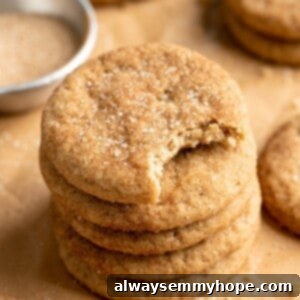 Stack of vegan snickerdoodle cookies with top cookie bitten
