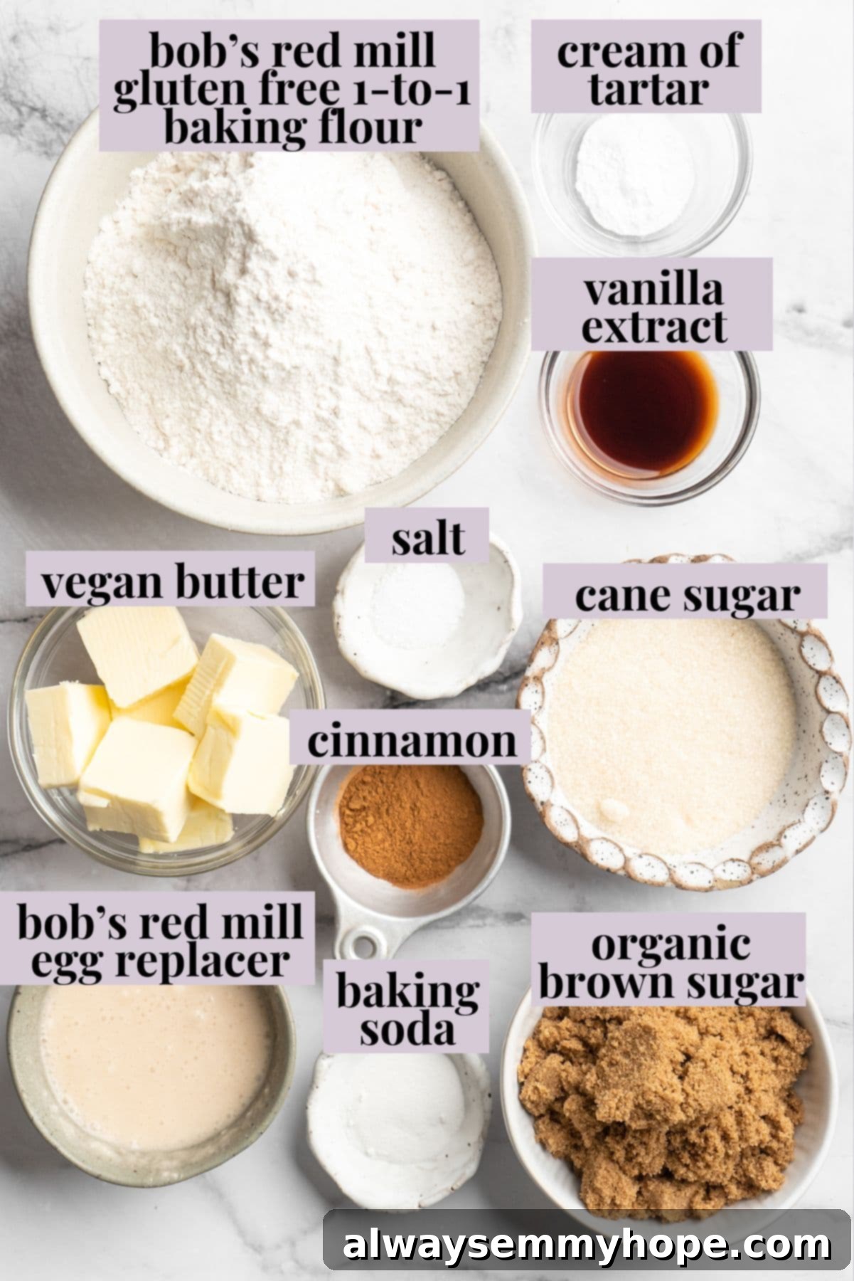 Overhead view of all the measured ingredients for vegan snickerdoodle cookies laid out on a clean surface.