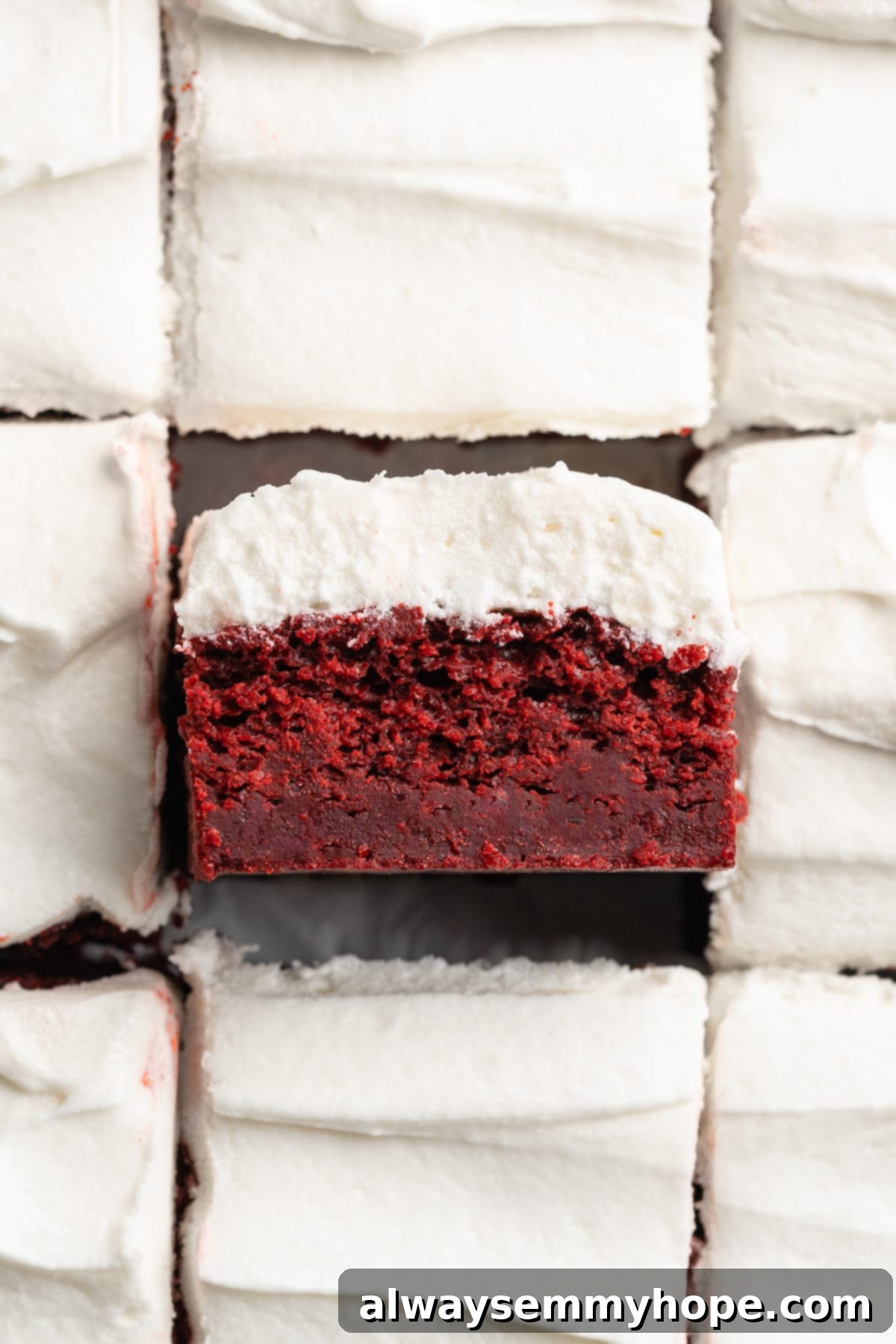 Moist, rich red velvet brownies are perfect for a special occasion or anytime you’re craving a decadent dessert. With cream cheese frosting! A single vegan red velvet brownie, tipped sideways to perfectly showcase its moist, fudgy crumb and the generous layer of creamy white cream cheese frosting on top.