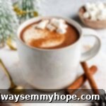 Mug of vegan hot chocolate on a round marble slab with a spoon and cinnamon sticks.