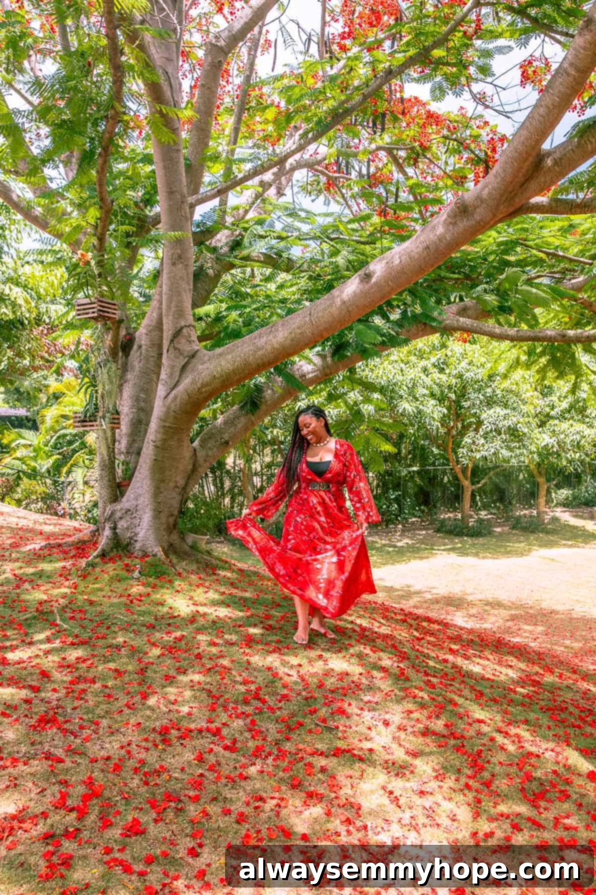 Out of the Kitchen: Holiday Moments, Year-End Mindset & My Guiding Word for 2019 2 Jessica in a red dress, standing by a tree.