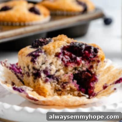 Cassava Flour: The Ultimate Guide 2 Blueberry muffin with a bite taken out of it.