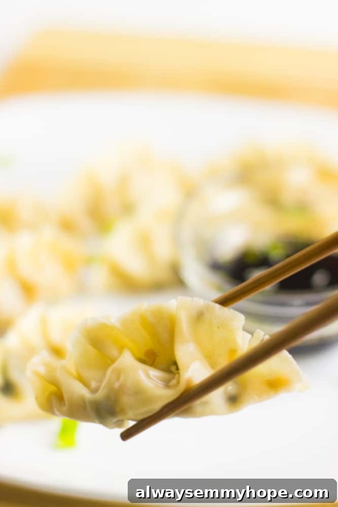 10 Quick & Easy Vegan Fakeaway Recipes 2 Chopsticks holding up a vegan dumpling.