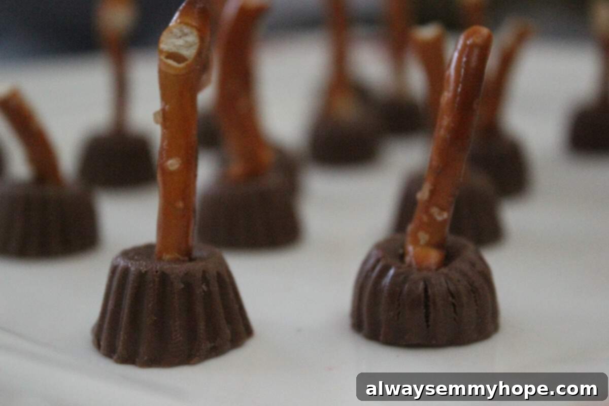 Witch Broomsticks made of candy and pretzels.