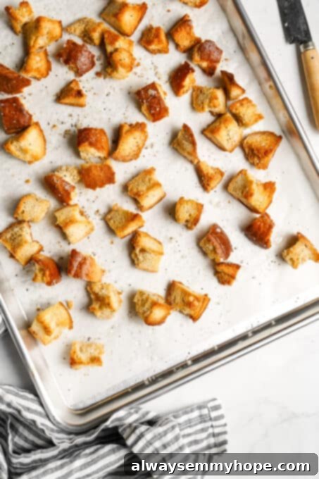 Vegan Caesar salad is perfect as a quick side dish or a light dinner! It’s made with a tangy dressing, crunchy croutons, and crisp lettuce. Freshly baked golden-brown croutons scattered across a baking sheet, perfectly crispy and ready to be added to a salad.