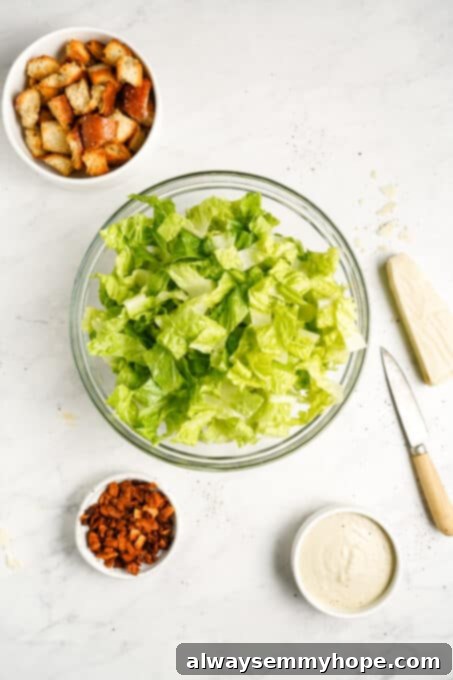 Vegan Caesar salad is perfect as a quick side dish or a light dinner! It’s made with a tangy dressing, crunchy croutons, and crisp lettuce. A large bowl filled with perfectly chopped, crisp romaine lettuce, ready for the dressing and toppings.