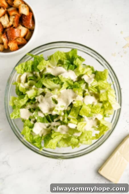 Vegan Caesar salad is perfect as a quick side dish or a light dinner! It’s made with a tangy dressing, crunchy croutons, and crisp lettuce. Creamy vegan Caesar dressing being drizzled generously over a bowl of chopped romaine lettuce, ready to be tossed.