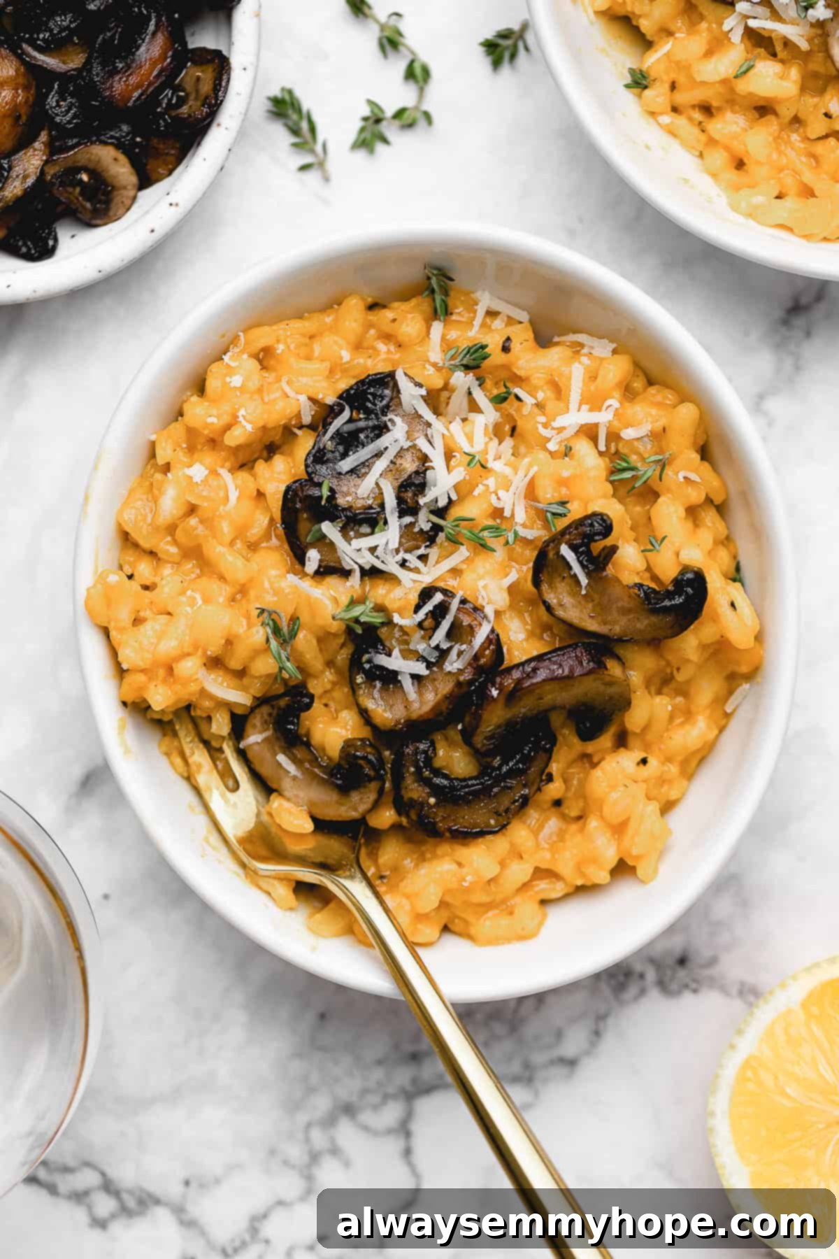 Bowl of risotto with parmesan cheese.