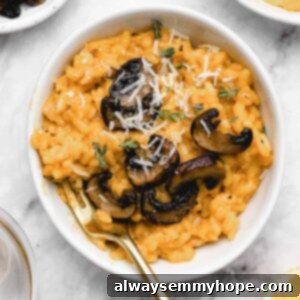 Bowl of mushroom risotto.