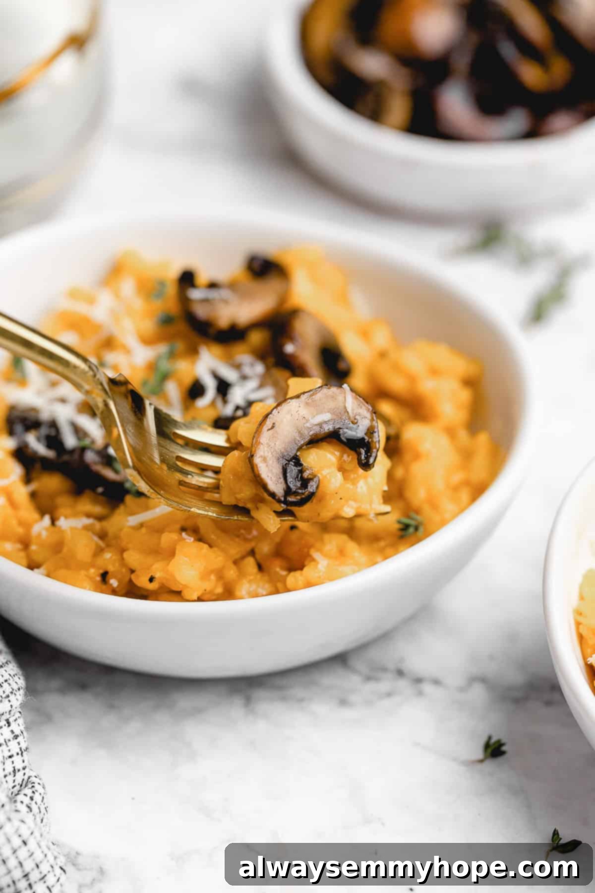 Bowl of mushroom risotto with parmesan cheese.