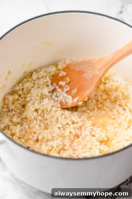 Rice grains with onion.