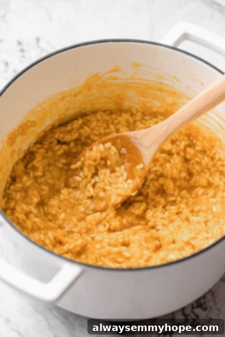 Creamy risotto in a pan.