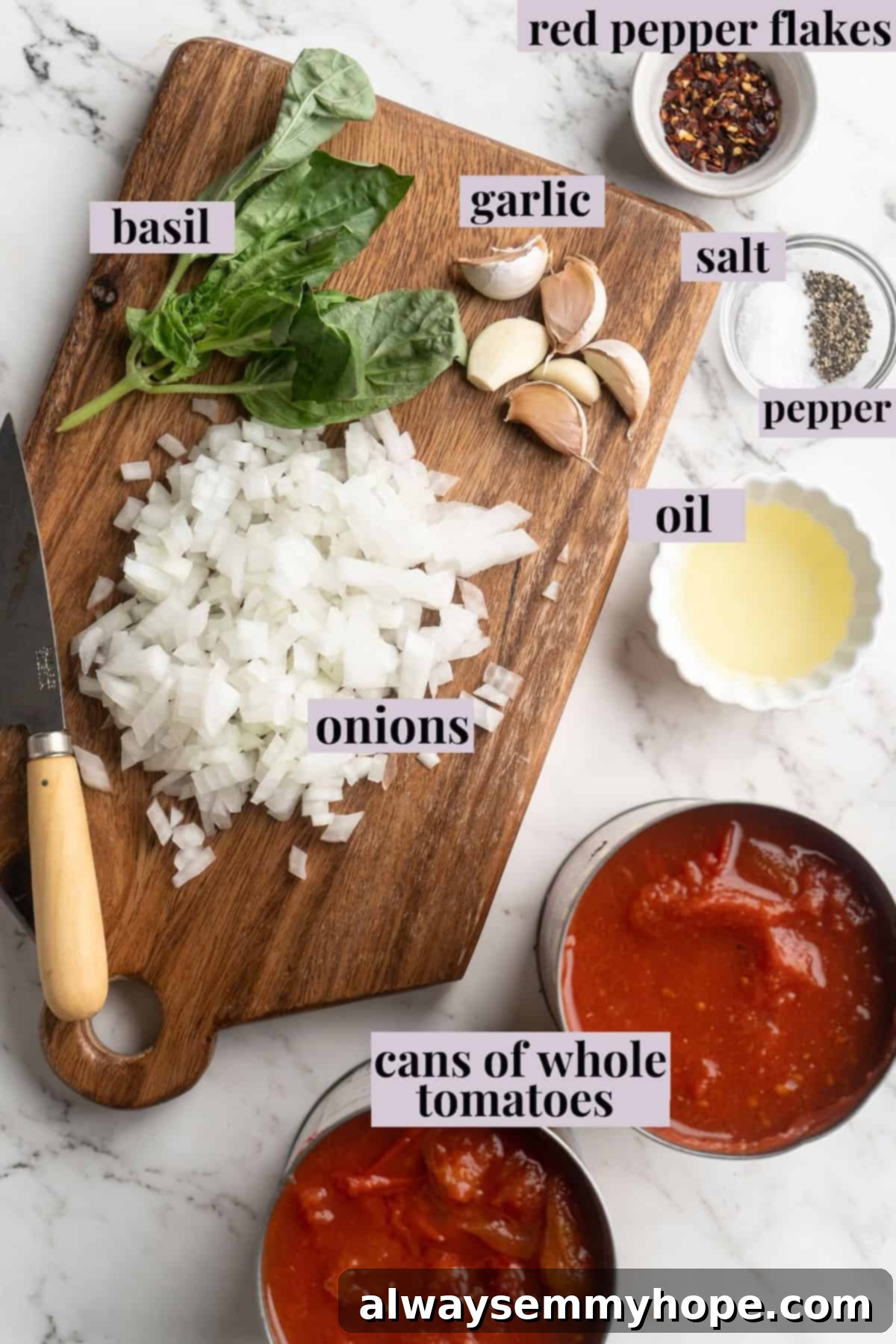 Overhead view of fresh ingredients for arrabbiata sauce laid out on a counter, including canned tomatoes, onions, garlic, basil, and red pepper flakes.