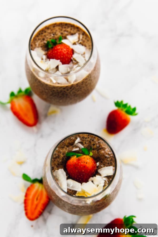 Velvet Chocolate Chia Bliss 3 Overhead view of two glasses of chocolate chia pudding, garnished with fresh strawberries and coconut flakes.