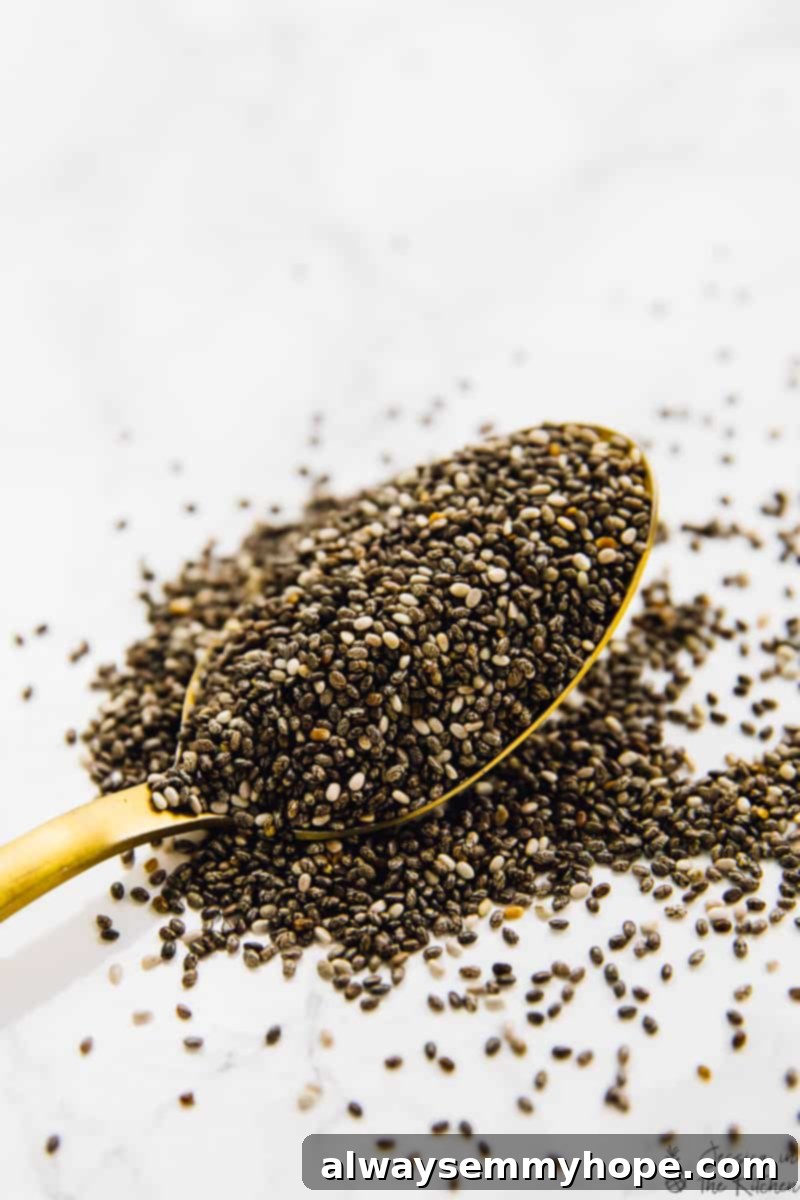 Velvet Chocolate Chia Bliss 4 A spoonful of tiny black chia seeds, highlighting the key ingredient.