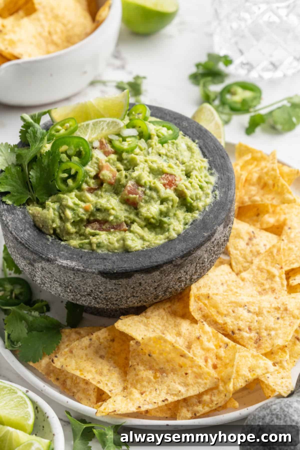 This easy guacamole recipe is the ultimate crowd pleaser! It’s incredibly fresh and flavourful, and it takes just 15 minutes to make. Authentic guacamole served in a molcajete with a side of crunchy tortilla chips on a rustic plate