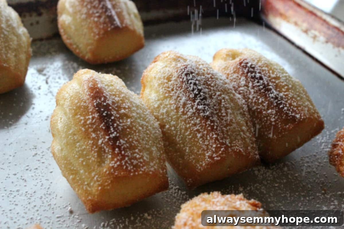 Powdered sugar being generously dusted over golden, shell-shaped madeleines.