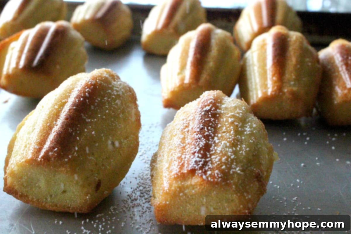 Close-up side view of classic madeleines, showcasing their iconic hump and powdered sugar coating.