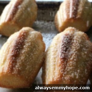 Batch of madeleines on a tray.
