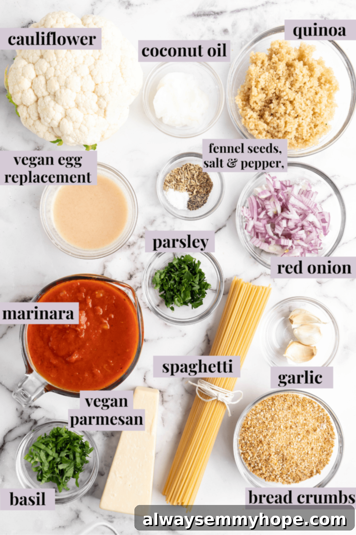 Plant-Powered Spaghetti & Meatballs 4 Overhead view of vegan spaghetti and meatball ingredients with labels