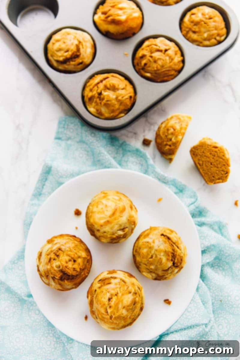 15 Irresistible Vegan Pumpkin Recipes for Fall 3 Top down view of vegan pumpkin cream cheese swirl muffins.