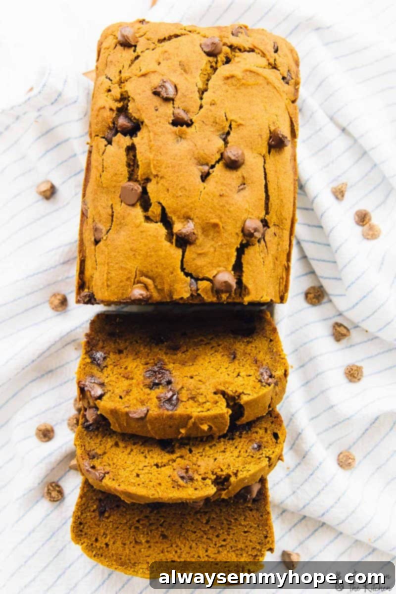 15 Irresistible Vegan Pumpkin Recipes for Fall 7 Top down view of a partially sliced vegan chocolate chip pumpkin bread loaf.