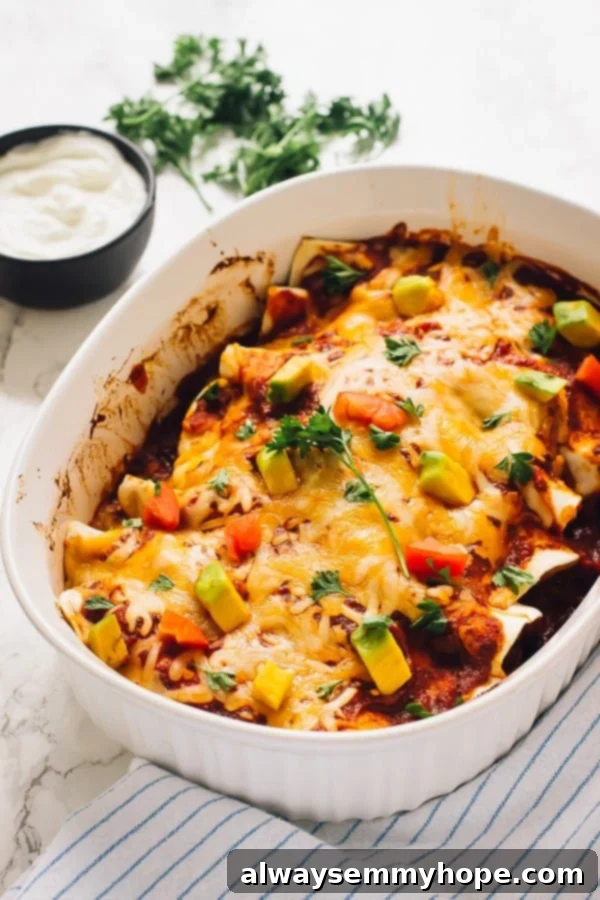 A baking dish of sweet potato and black bean enchiladas, topped with fresh cilantro.