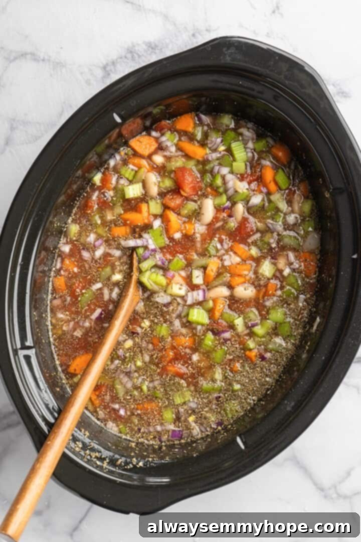Overhead view of all ingredients combined in a slow cooker, ready to cook