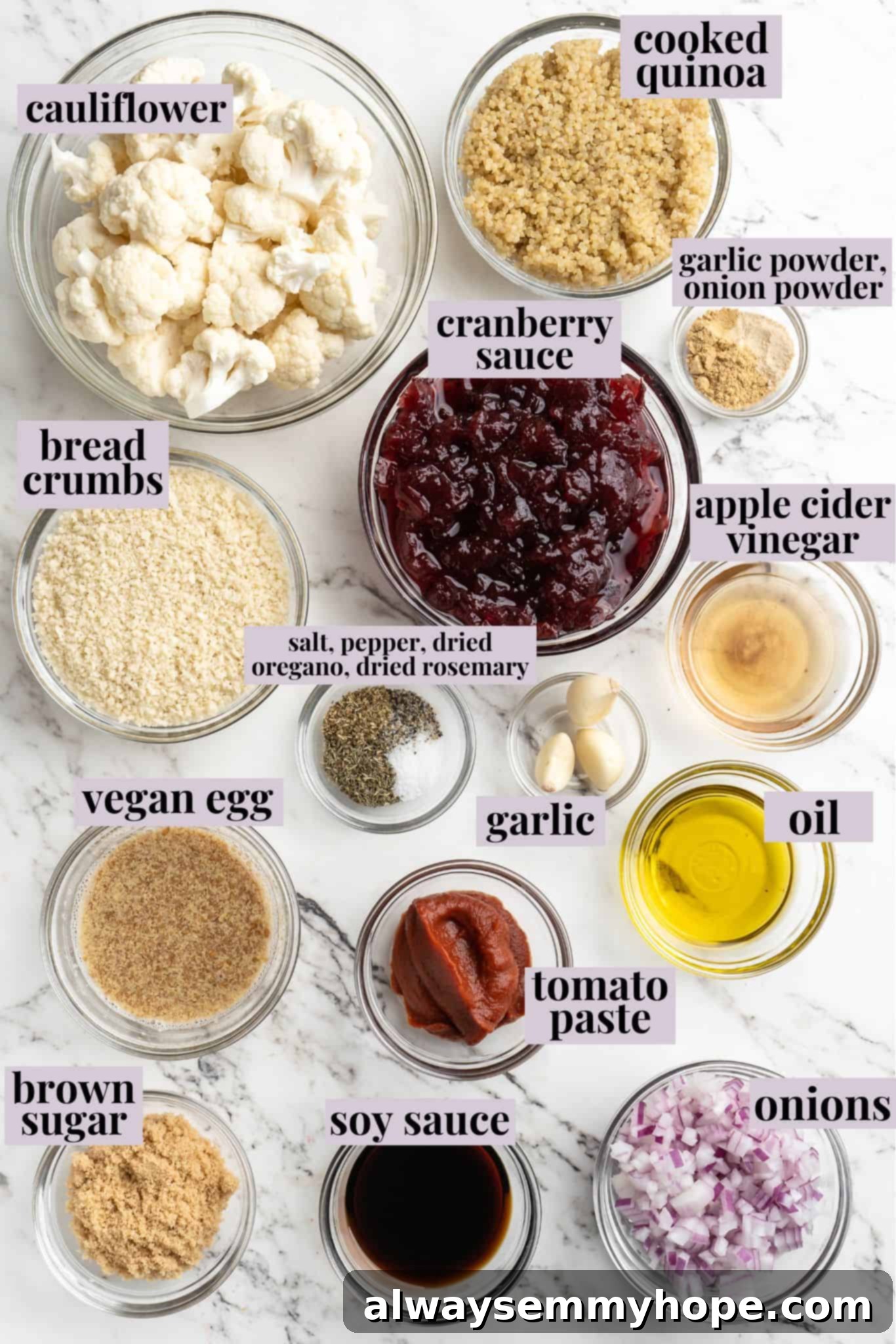 Overhead view of ingredients for cranberry vegan meatballs